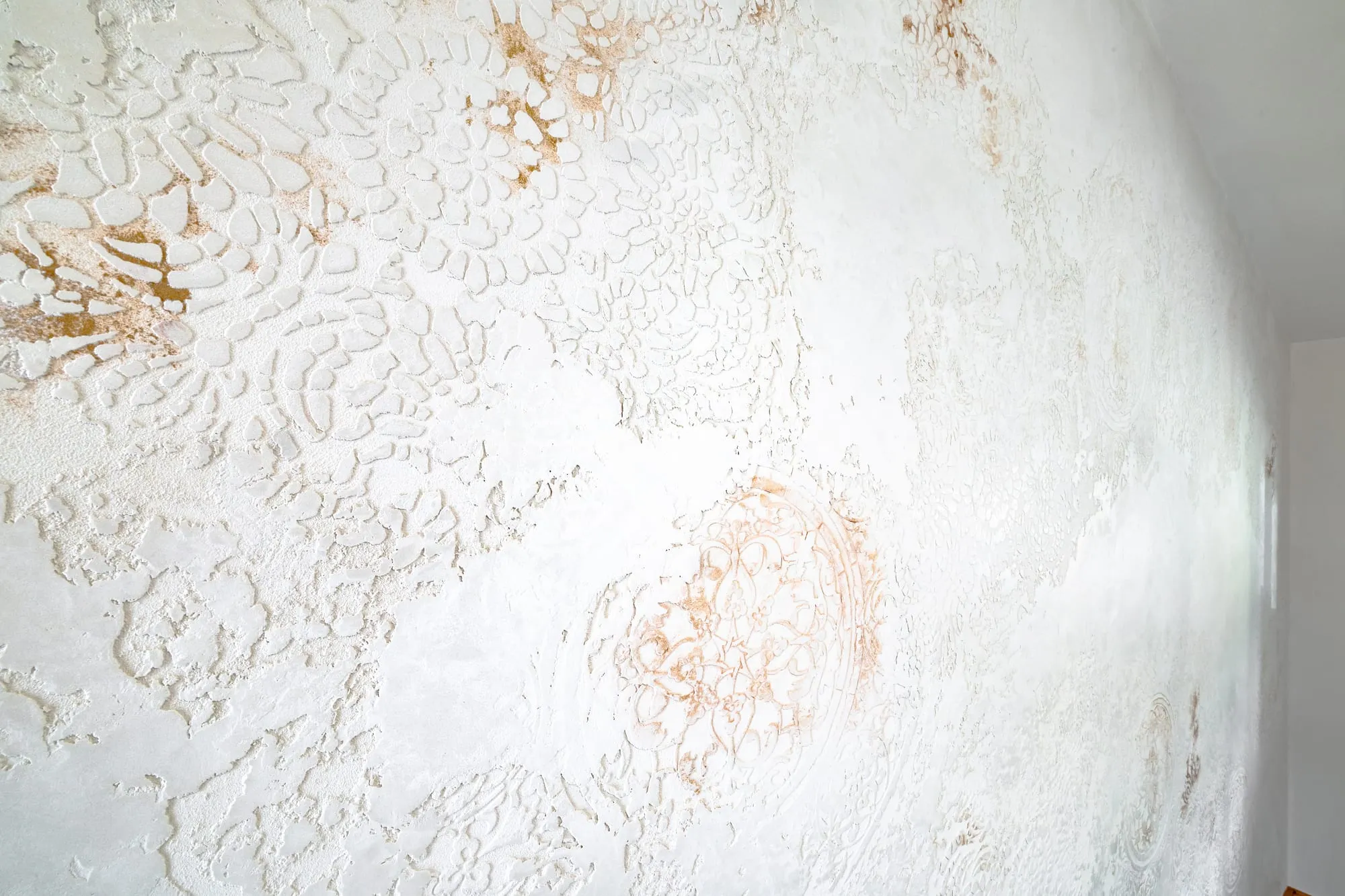 Florenzia finish by Rebel Venetian — Truckee & Tahoe (3)
